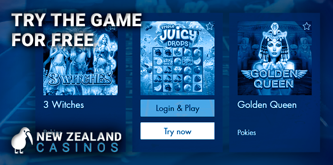 Demo mode in an online casino game for Kiwis players