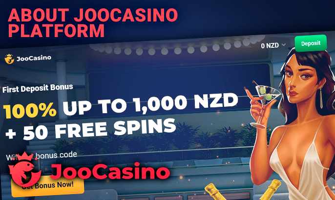 Introducing the Joo Casino website - license information