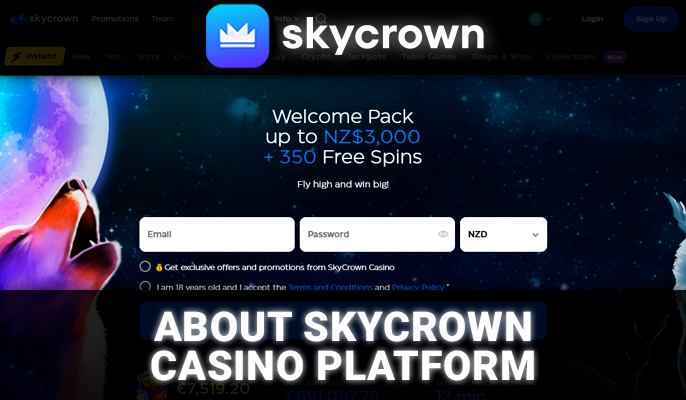 Introducing the SkyCrown Casino website - detailed information