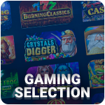 A variety of gambling at NZD online casinos